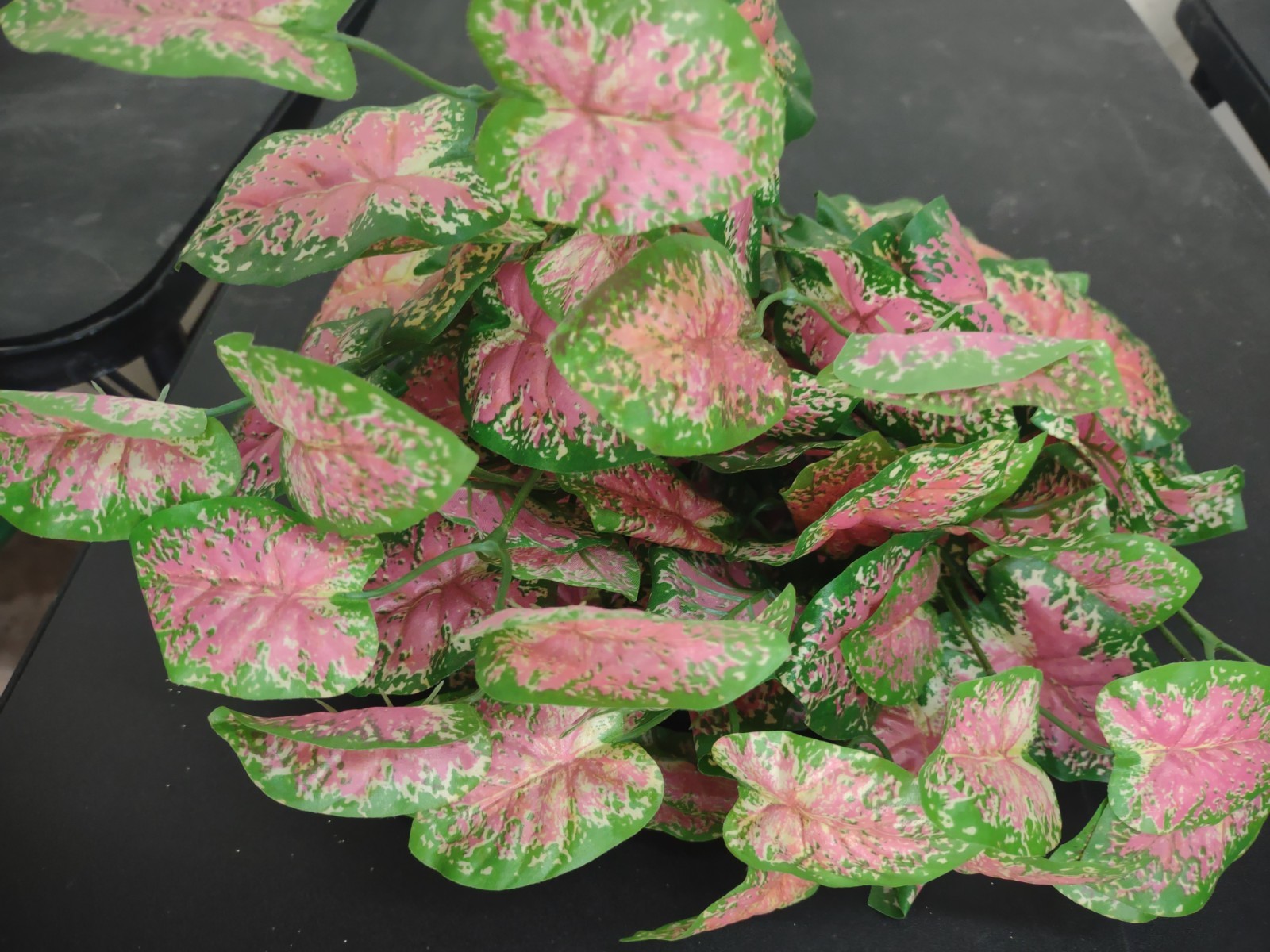 Silk Caladium Plant 16 Inches w/96 Leaves Pink & Green Baby Elephant’s Ear Bush