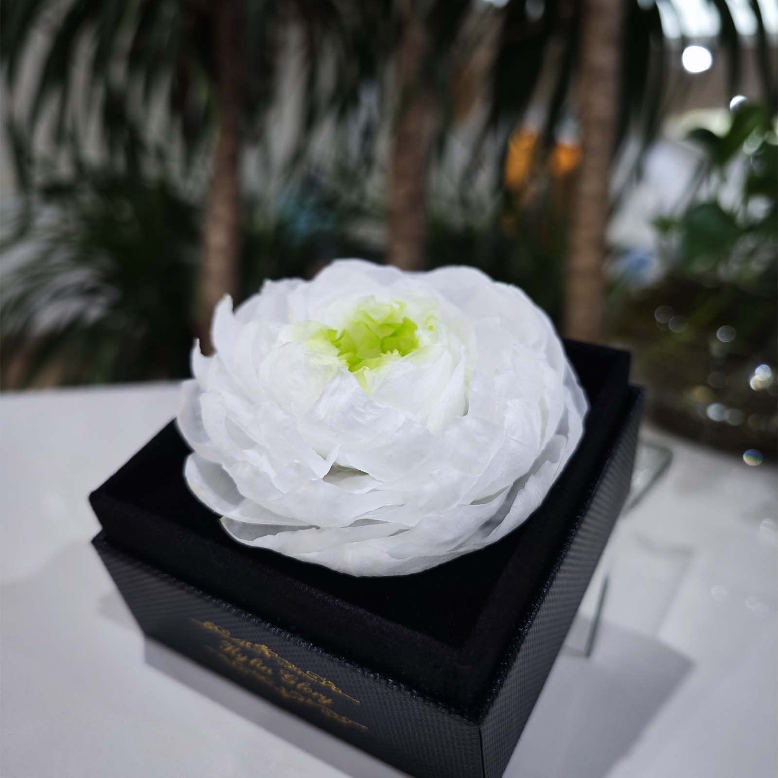 Fresh Cut Flower Preserved Peony for Women Mom Wife Girlfriend – Flower Gift …