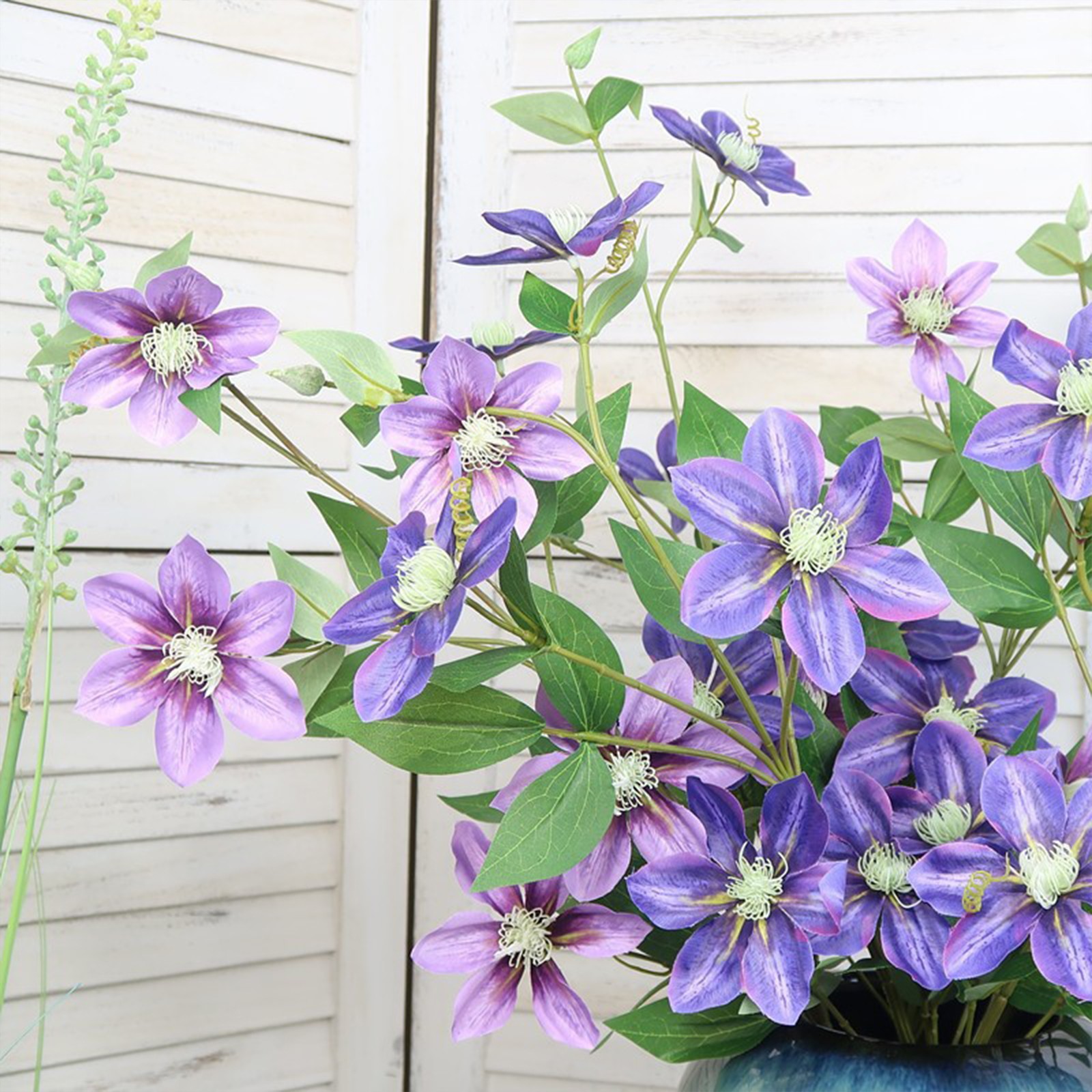 New European-style 5-headed Clematis – Deep Purple 85cm Tall Per Stem HOT