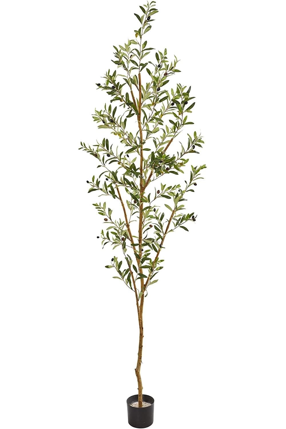 NEARLY NATURAL 82IN ARTIFICIAL OLIVE TREE, FAUX GREENERY – Scratch & Dent