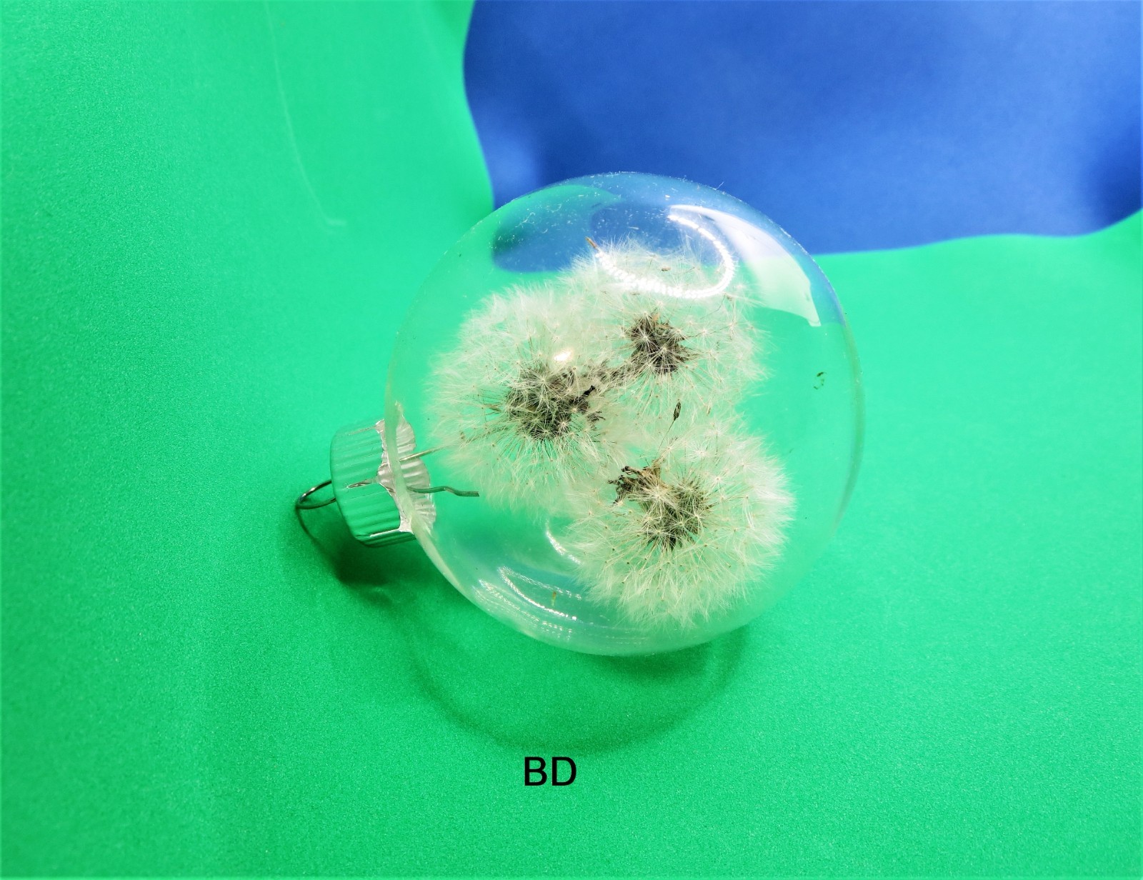Dried Dandelion Art Dandelion Flower For Craft Dried Flowers decor Dandelions