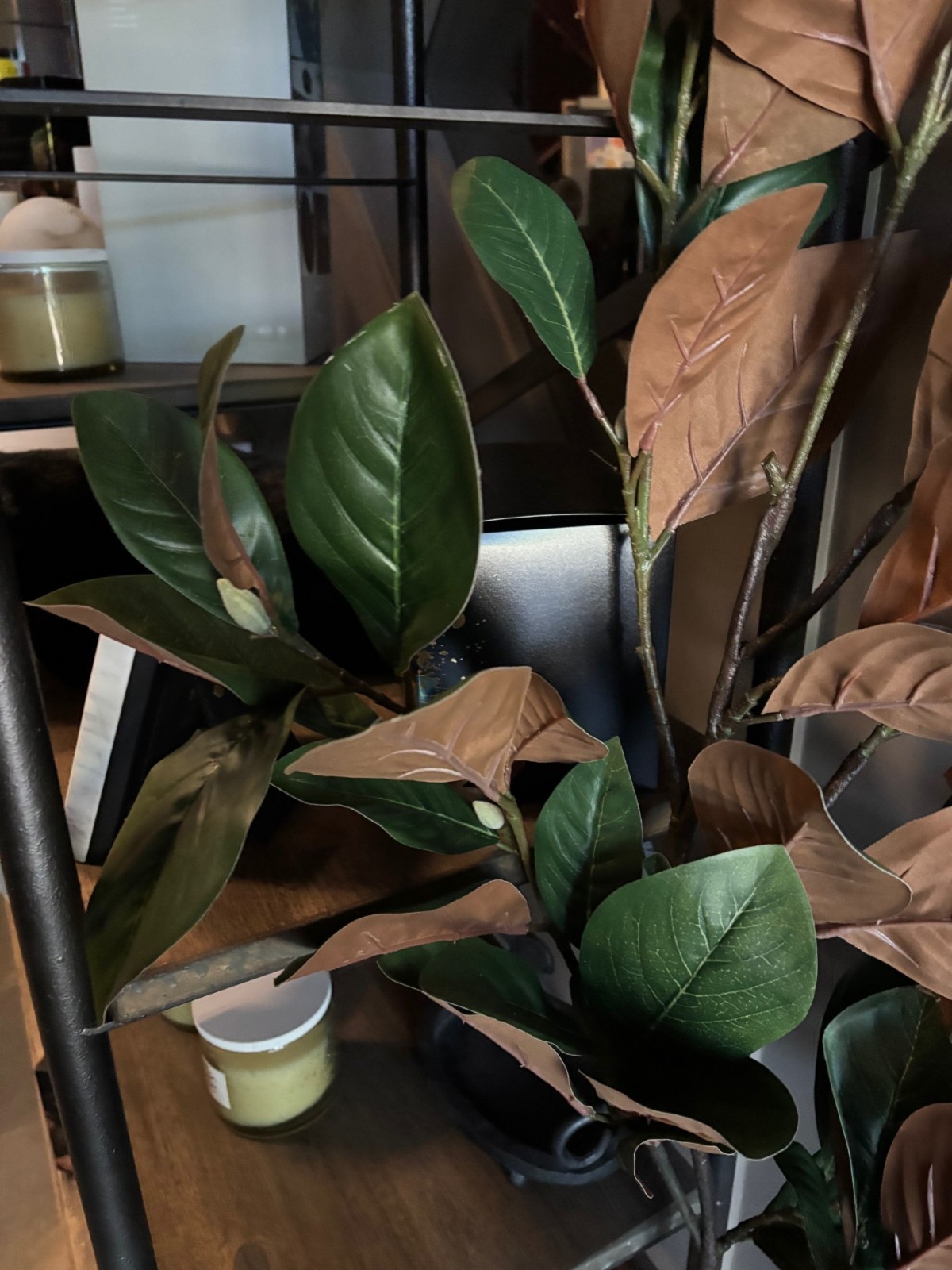 NEW Pottery Barn Faux Oversized Magnolia Branch 57″ Long 50 Leaves NWT