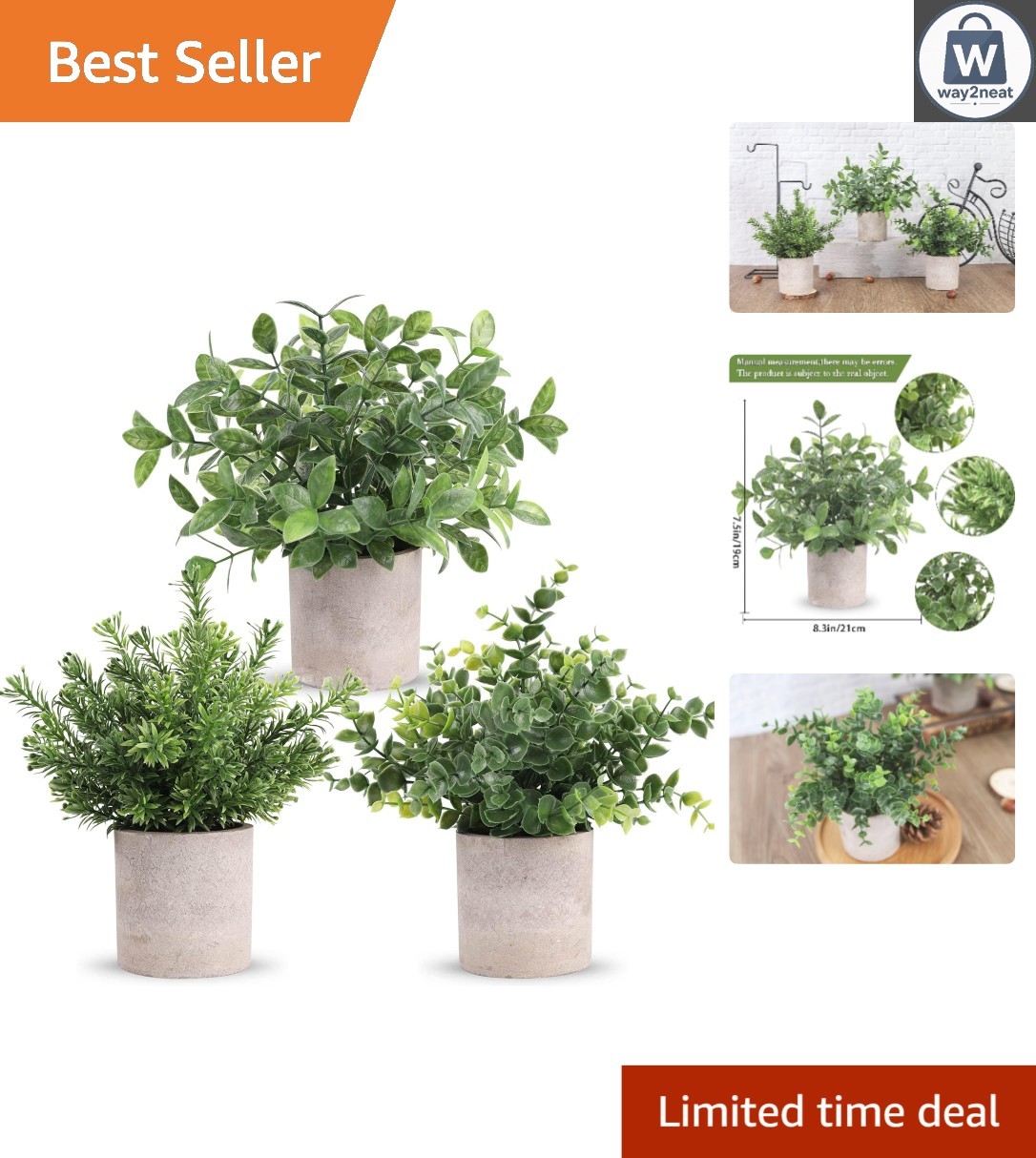 3 Pack Mini Potted Eucalyptus Plants – Lifelike Greenery for Home & Office