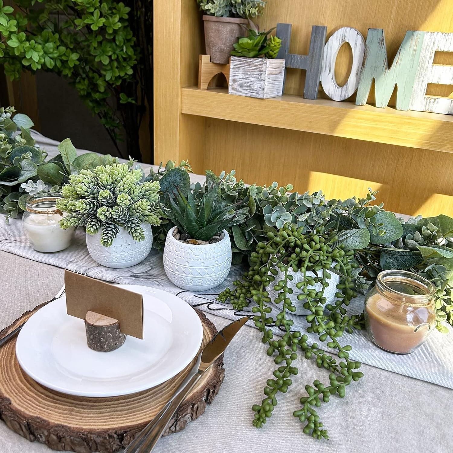 Elegant Succulent Trio in Geometric Ceramic Pots – Perfect for All Occasions