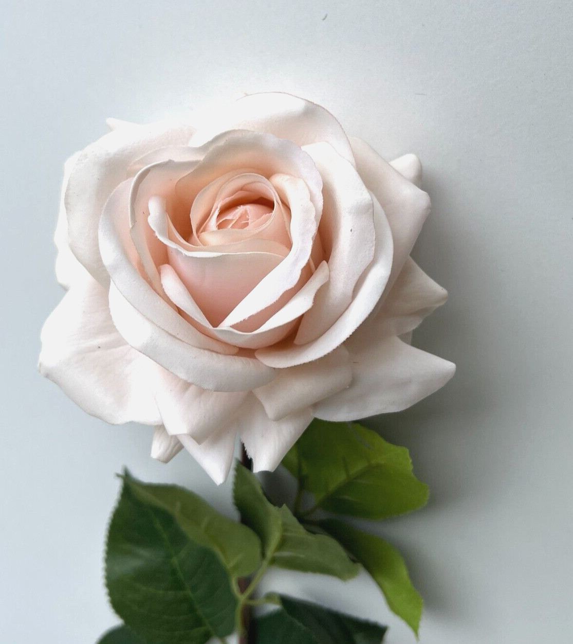 Real touch rose stem latex roses soft pink flowers fresh touch faux flowers x 1