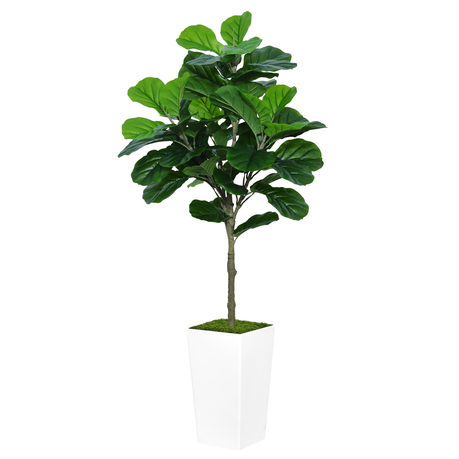 ASTIDY Fiddle Leaf Fig Tree Artificial 5FT – Faux 5ft, White