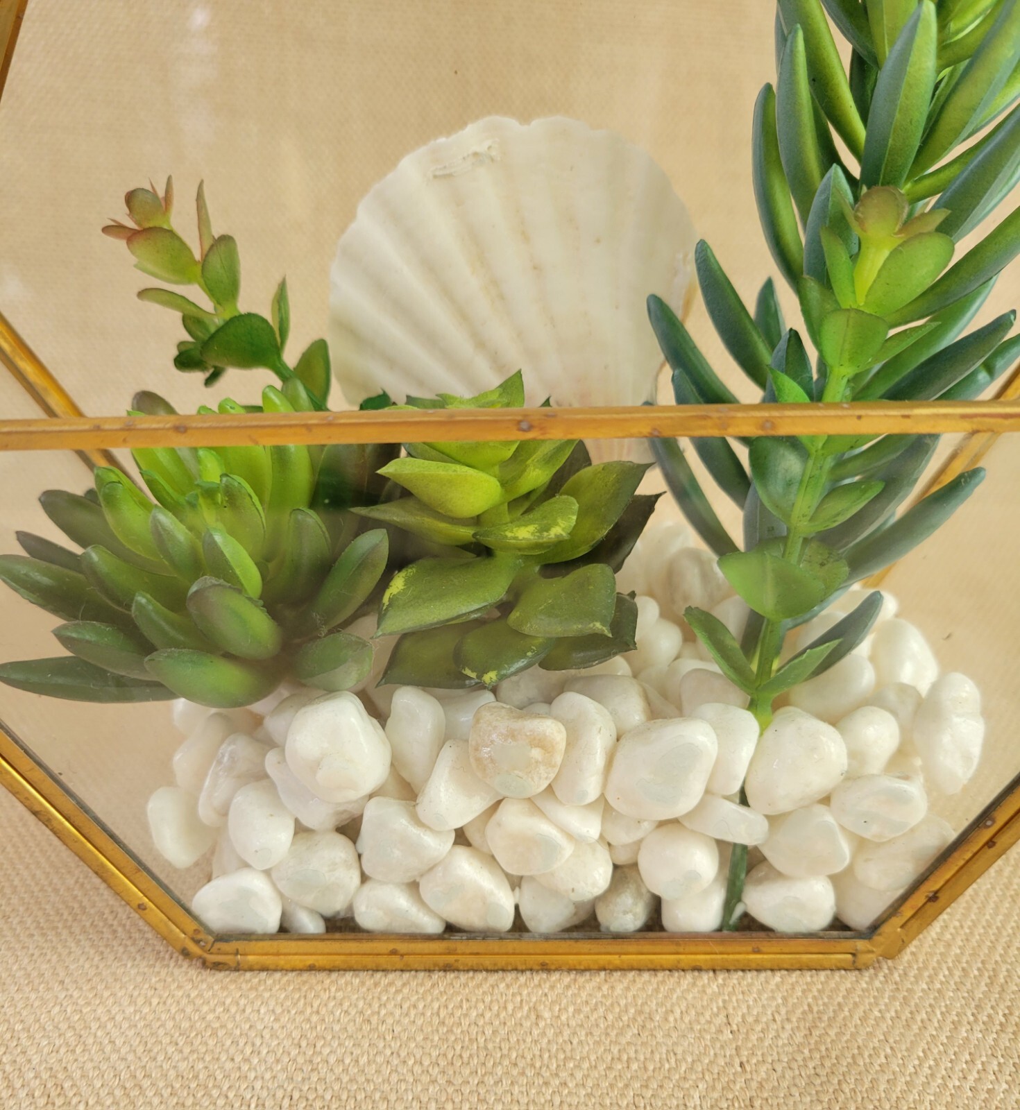 Plant Terrarium Geometric Gold Edge Planter Artificial Succulent Open Side Glass