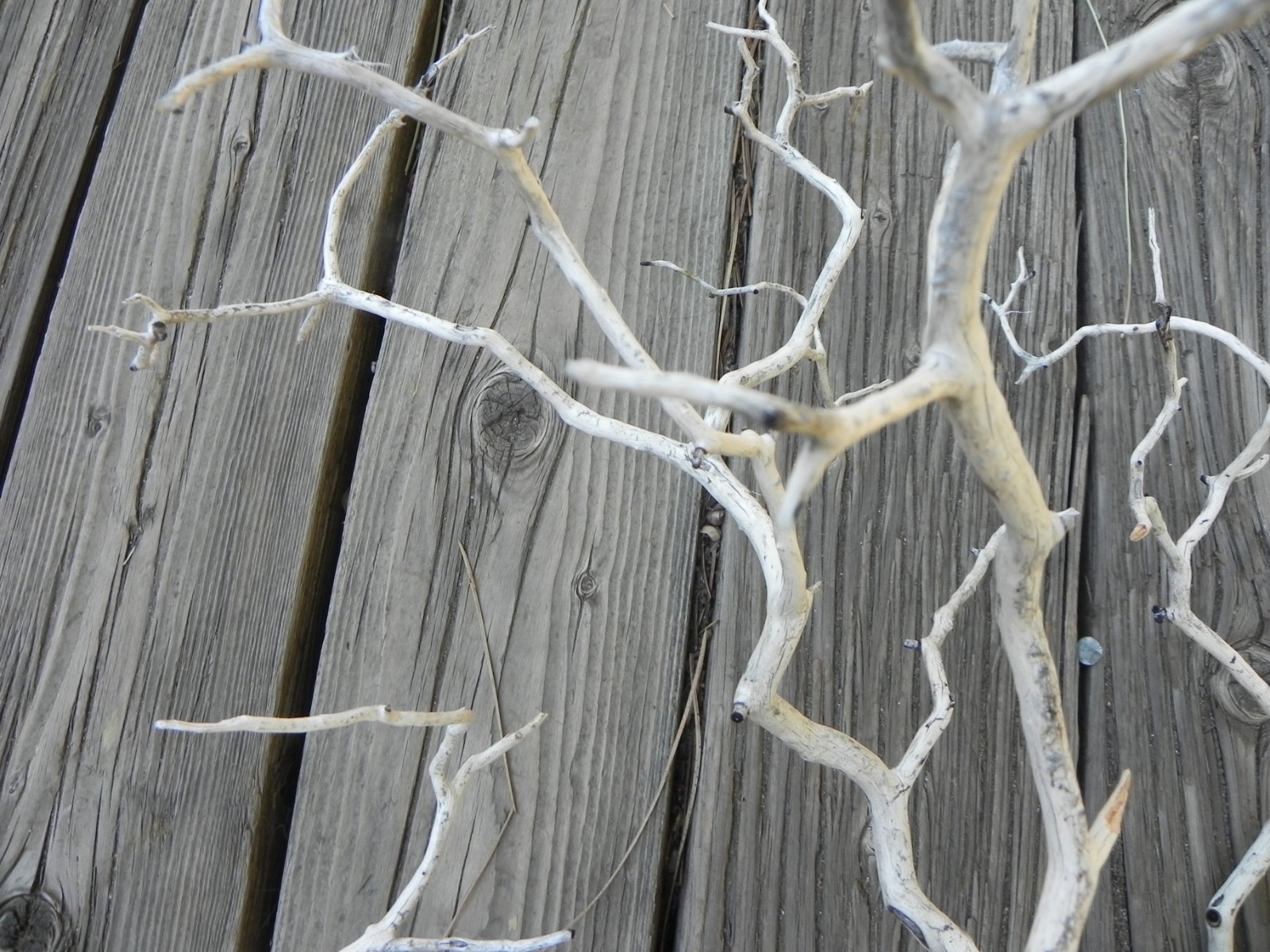 Twisty natural floral design home decor manzanita 24”x20