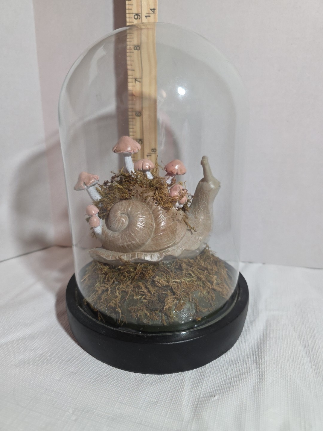 Snail And Mushroom Cloche Terrarium Glass Dome Curiosity Cottage Core