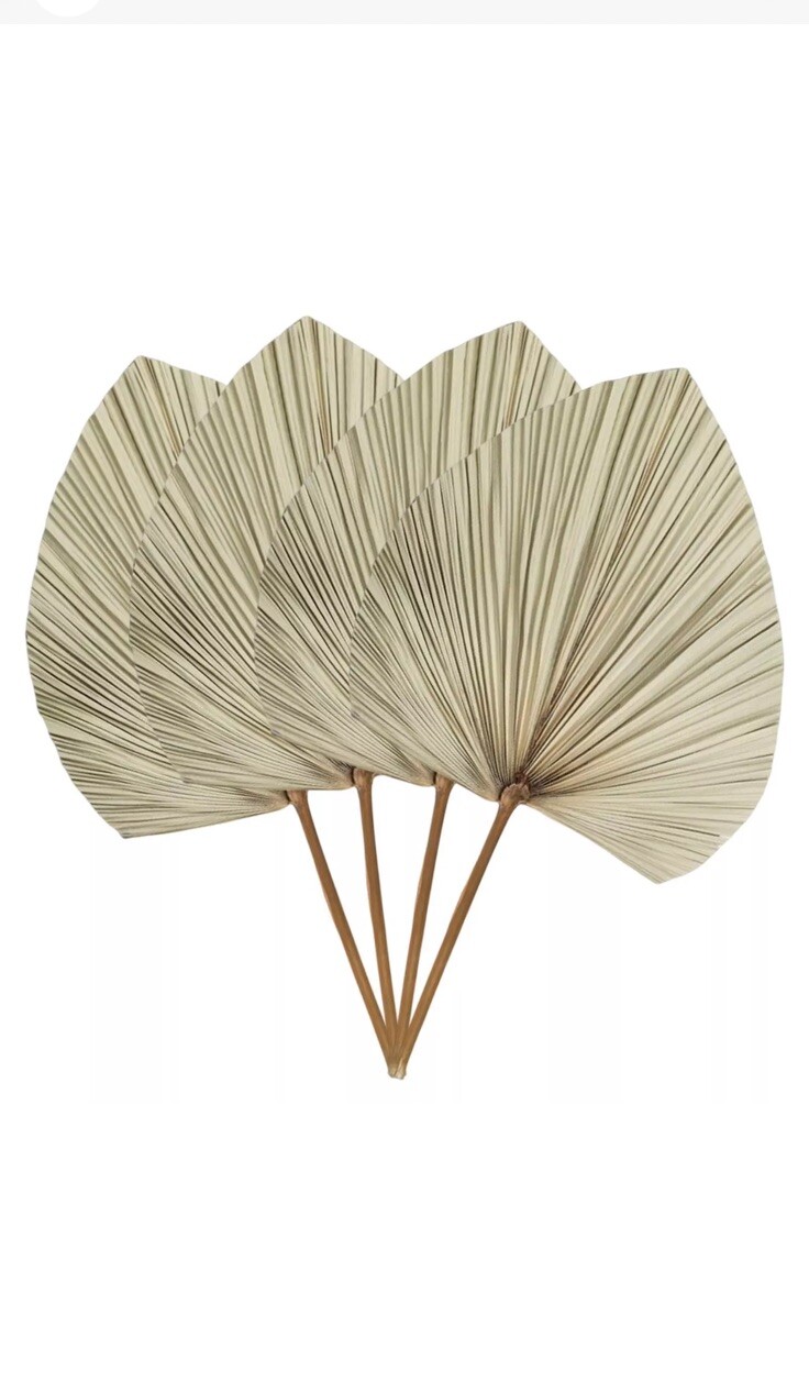 4Pcs Dried Palm Leaves Dried Palm Spear Bohemian Dry Leaves Decor Dried Palm 18”
