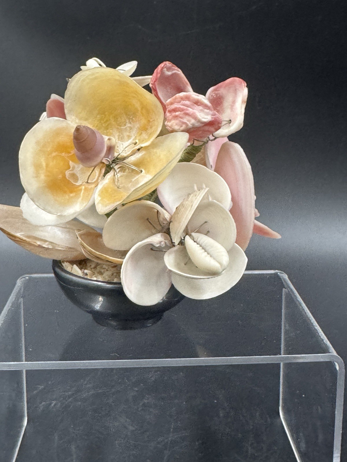 Vintage Seashell Flower Bouquet Floral Arrangement Handcrafted From Jingle Shell