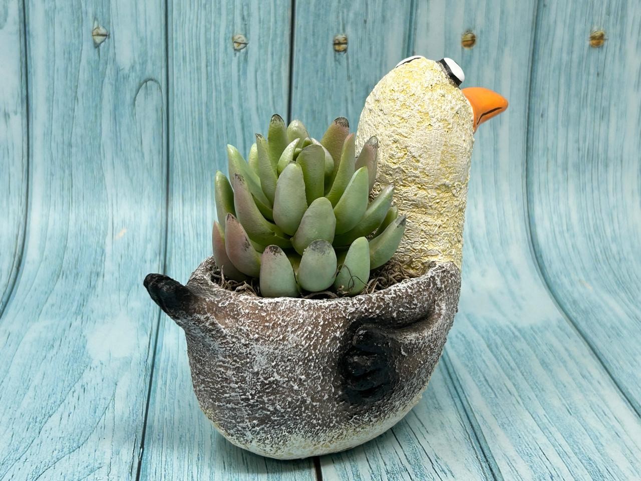 6.5″ Potted Lg SEAGULL Blob House pot with Artificial Senecio & Echeveria Cabbag