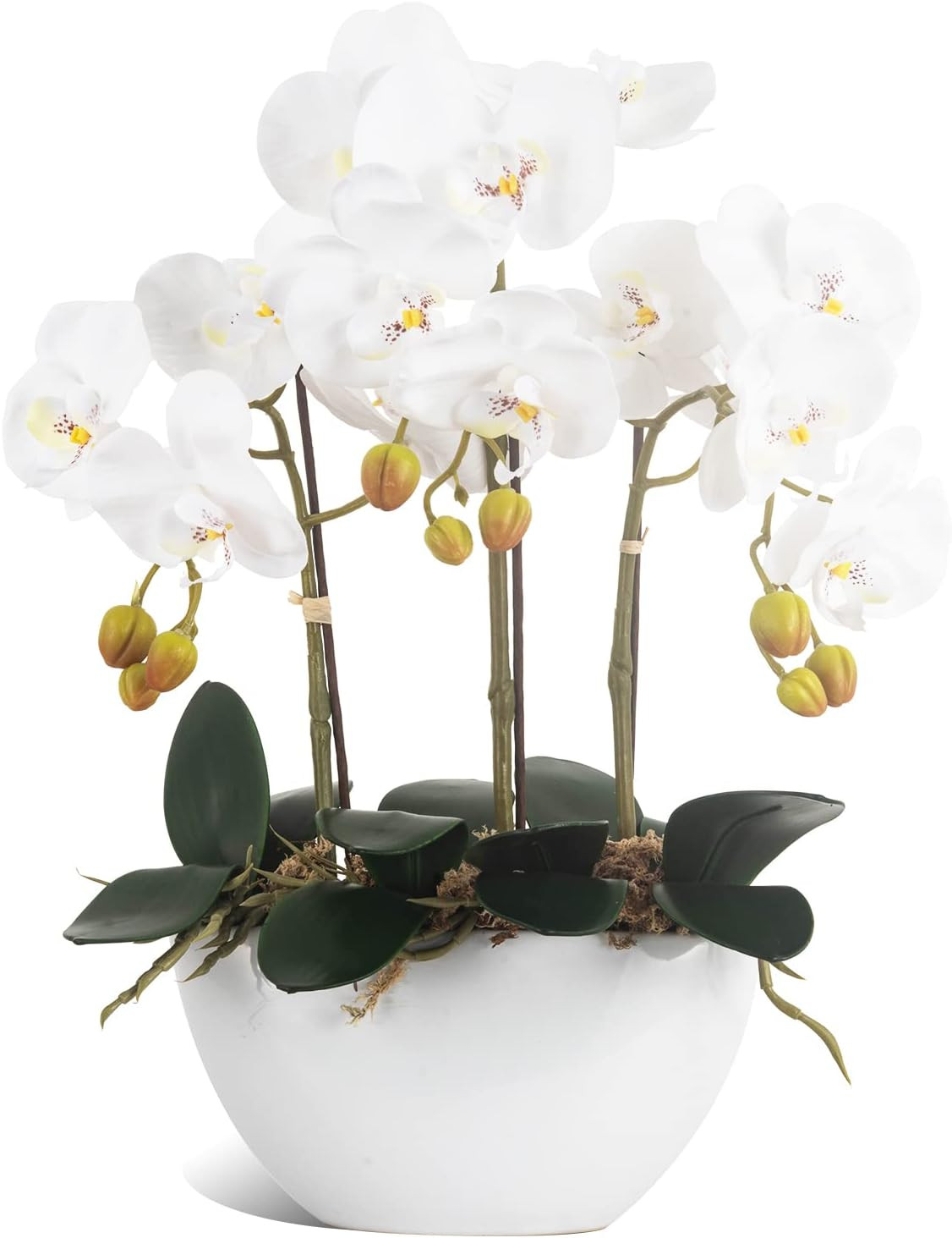 Realistic White Orchid Flowers in Ceramic Pot for Home Office Decor
