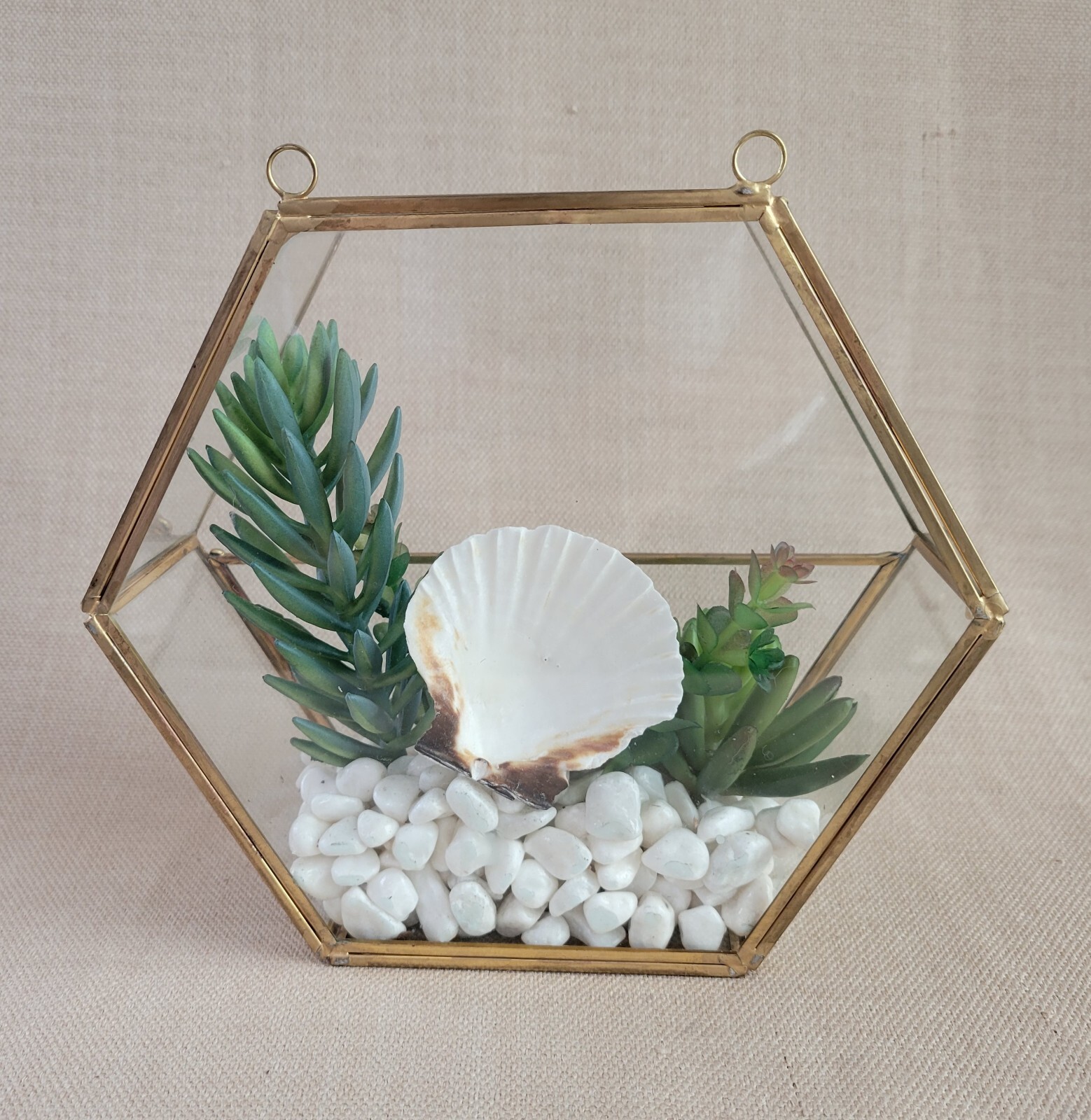 Plant Terrarium Geometric Gold Edge Planter Artificial Succulent Open Side Glass