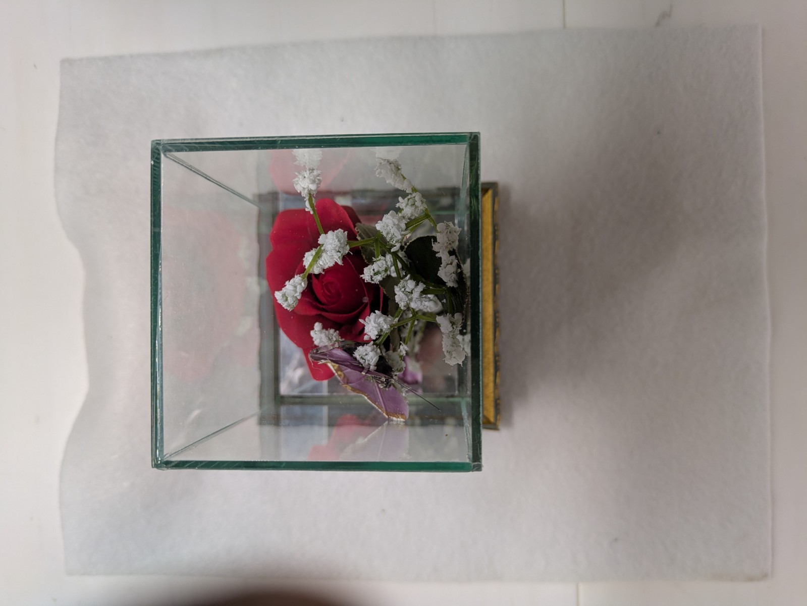 RED ROSE IN GLASS WITH PURPLE BUTTERFLY