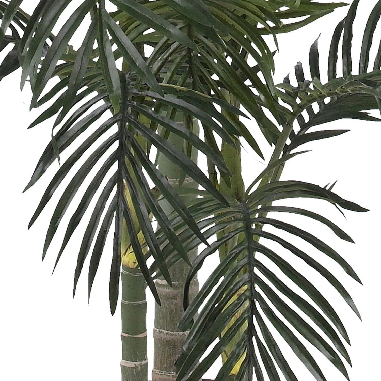 Ready-to-Display 6.5 ft Indoor Palm Tree in Black Planter – Maintenance-Free