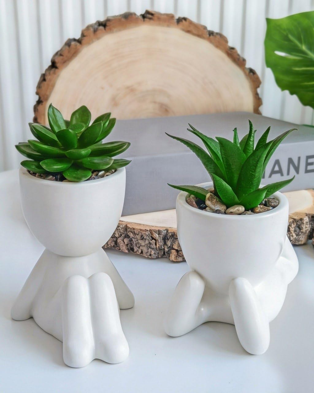 Indoor Ceramic Mini Fake Plants Collection – Perfect for Office and Home Decor