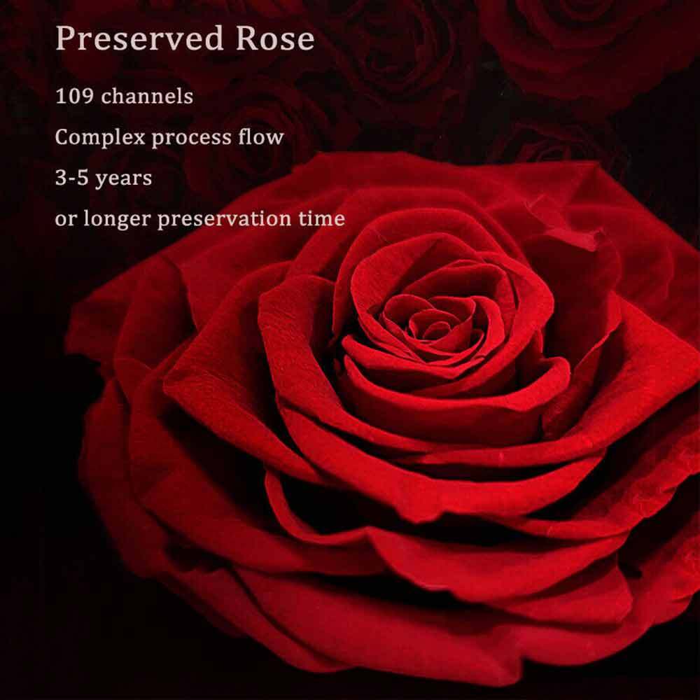 Preserved Rose Containers Eternal Flower Jewellery Surprise Box Valentine Gifts