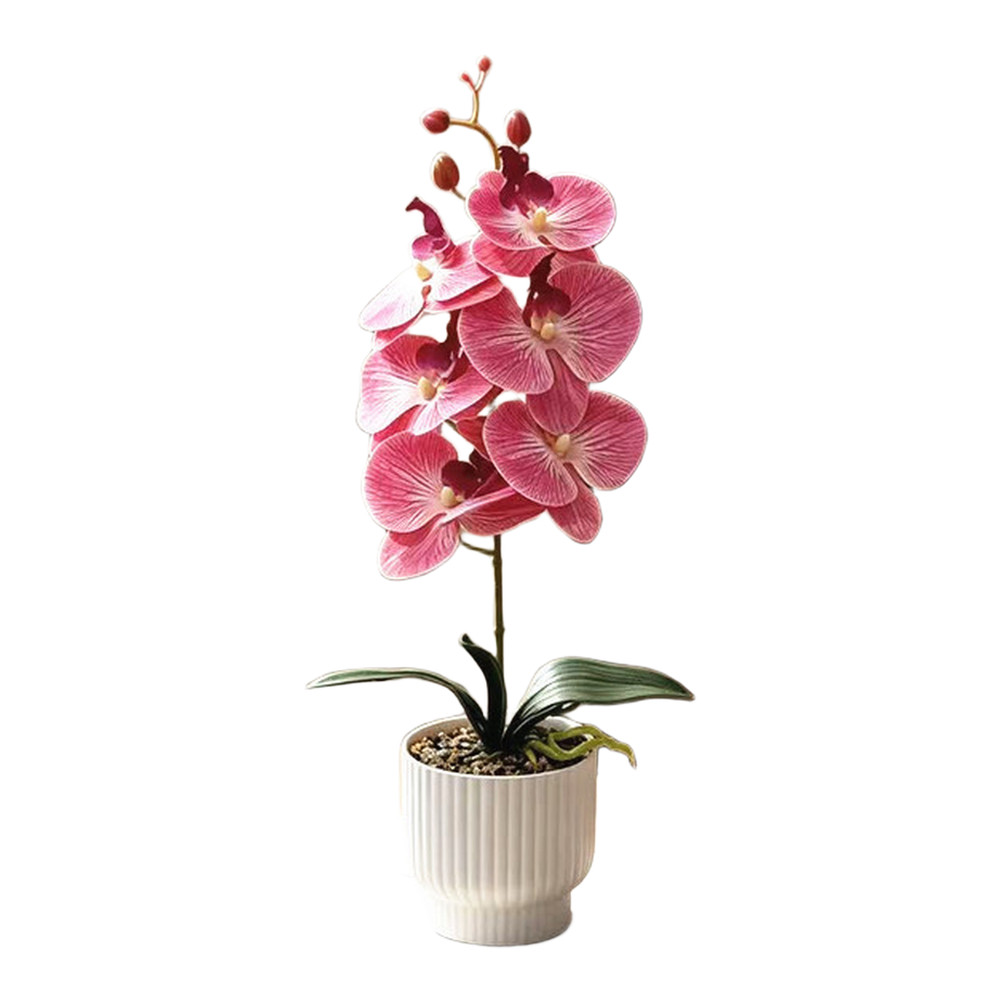 42cm Phalaenopsis Orchid Fake Flower Plastic Stem with Natural Texture