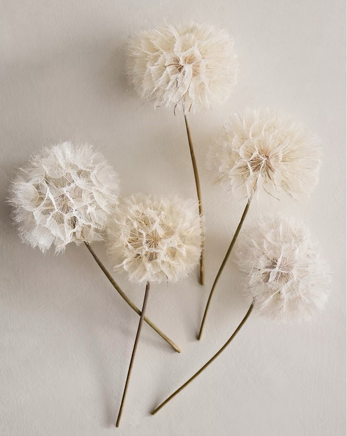 NEW Anthropologie x Terrain Crafted Botanical Dandelion Stems, Set of 5, Lilac