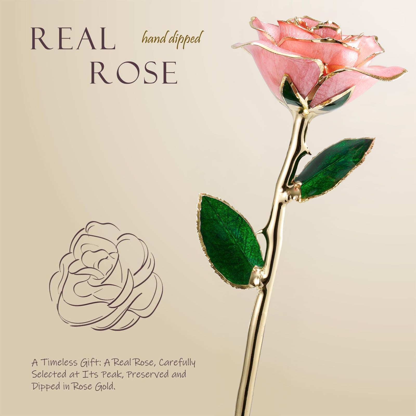 Yonktoo Gold Dipped Rose Real Rose Preserved in 24K Gold with Stand, Forever…