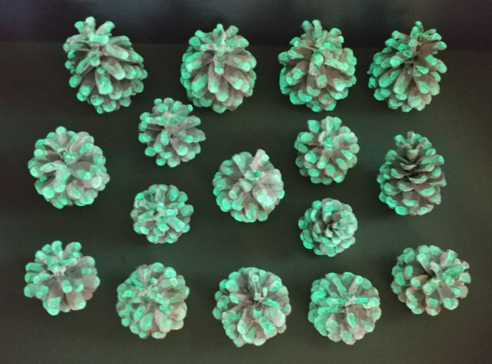 15 White Glowing in the Dark Glittered Pine Cones Hand Painted Natural Pinecones