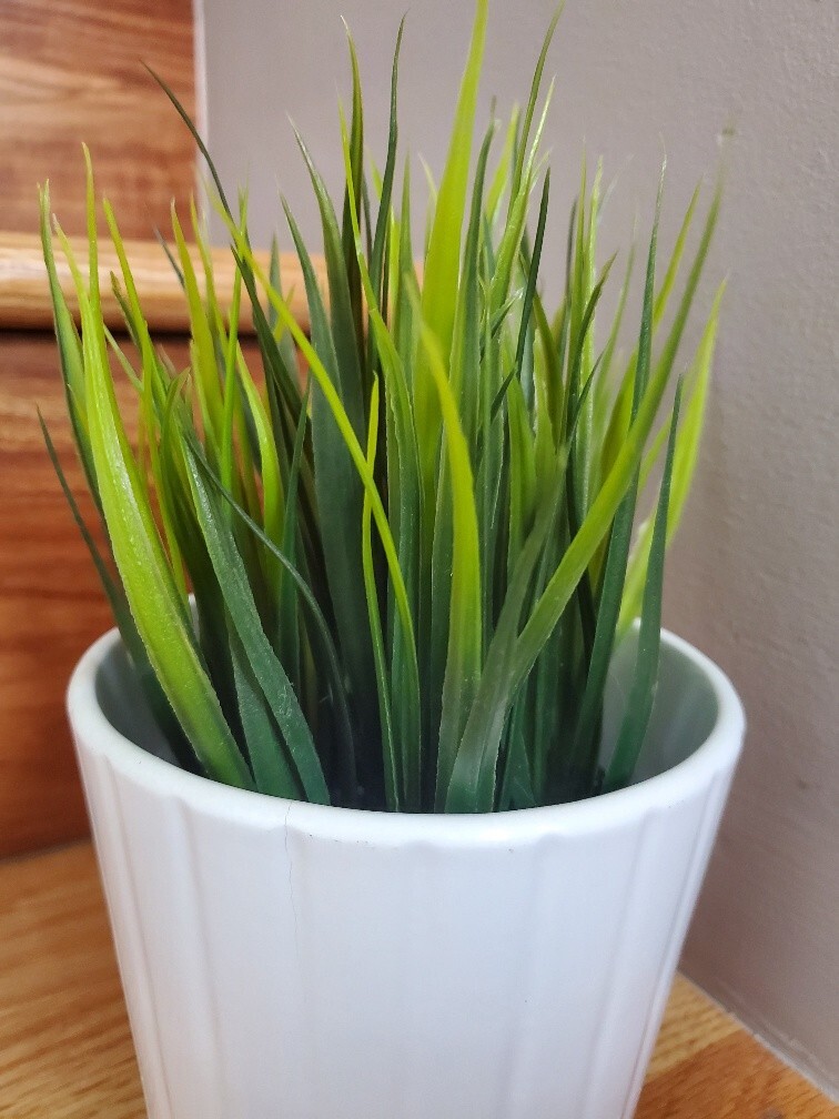 IKEA FEJKA Artificial Potted Plant + IKEA Cardemumma White Ceramic Pot 5″ x 4.5″