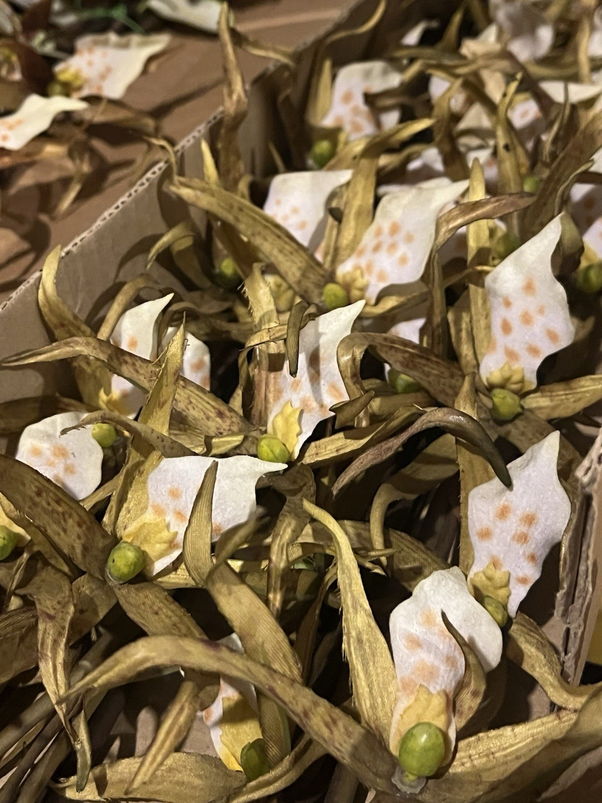 12 Stems Spider Lily Orchid 37″ Tall Green Yellow Artificial Flowers Decor