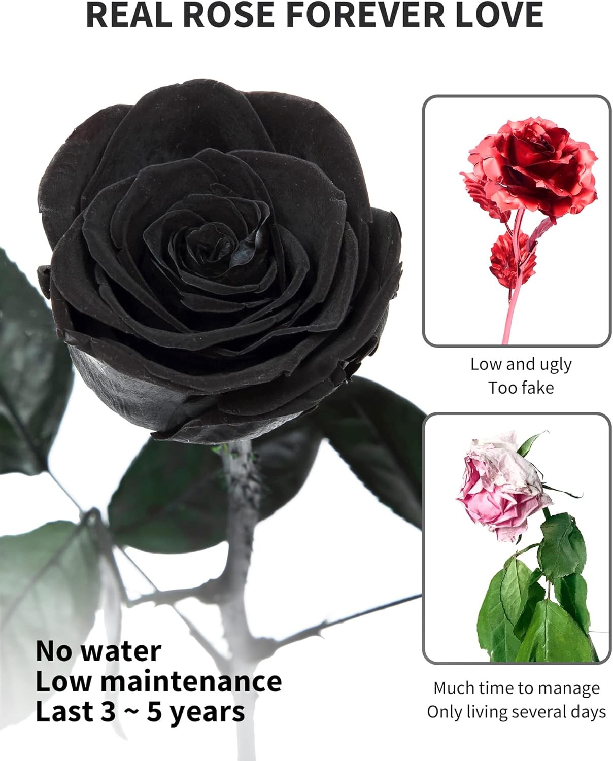 Preserved Rose, Preserved Flowers for Delivery Prime, Single Rose Flower Gifts f