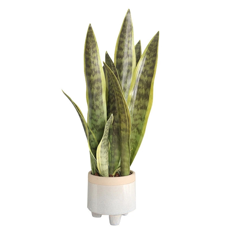 Artificial Succulents Realistic Indoor Outdoor Aloe Vera Tropical Fake Plants