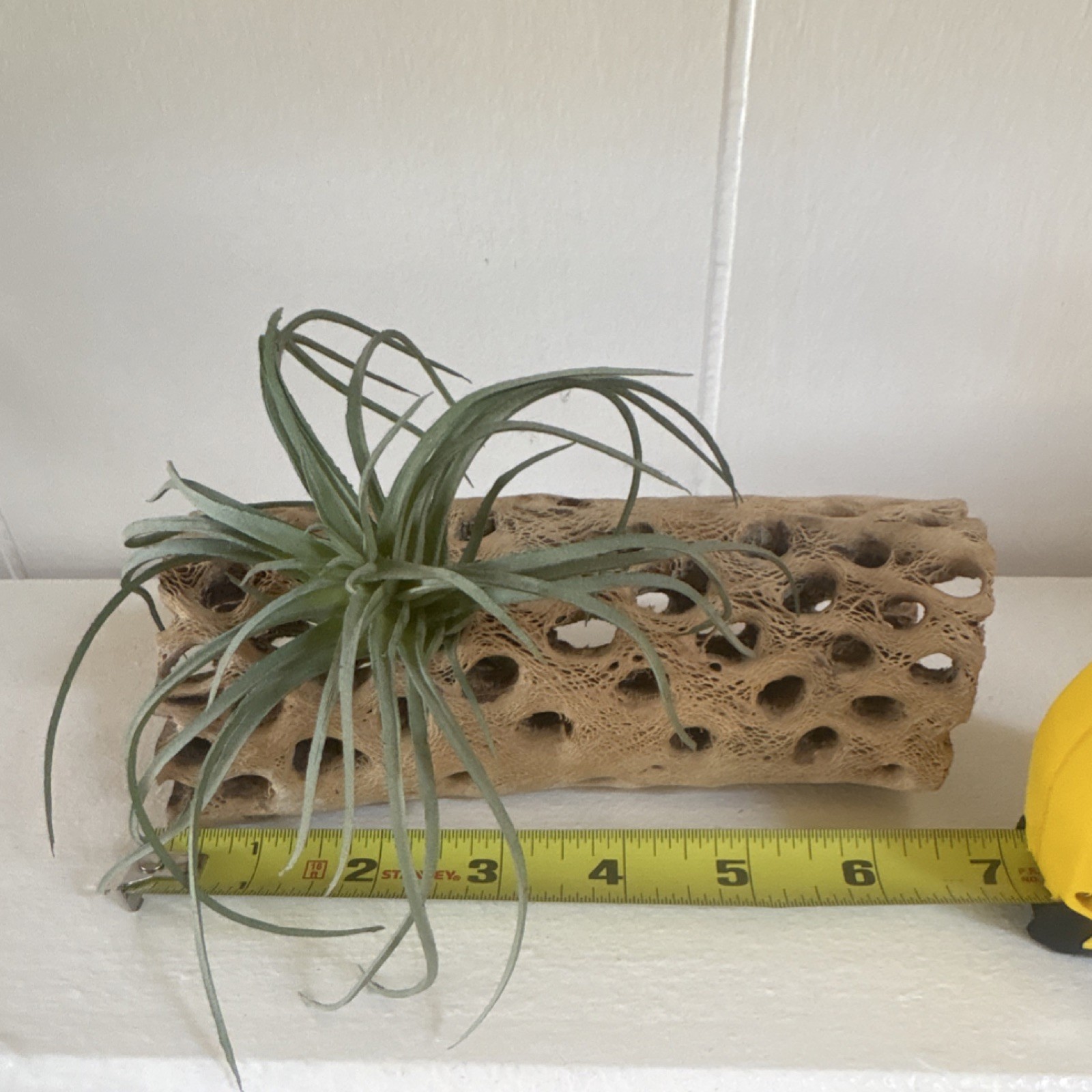 Fake Air Plant Driftwood Decor Coastal Boho Shelf Accent