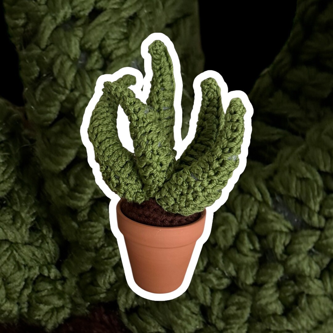 Handmade Crochet Aloe Plant Decor With Terracotta Pot