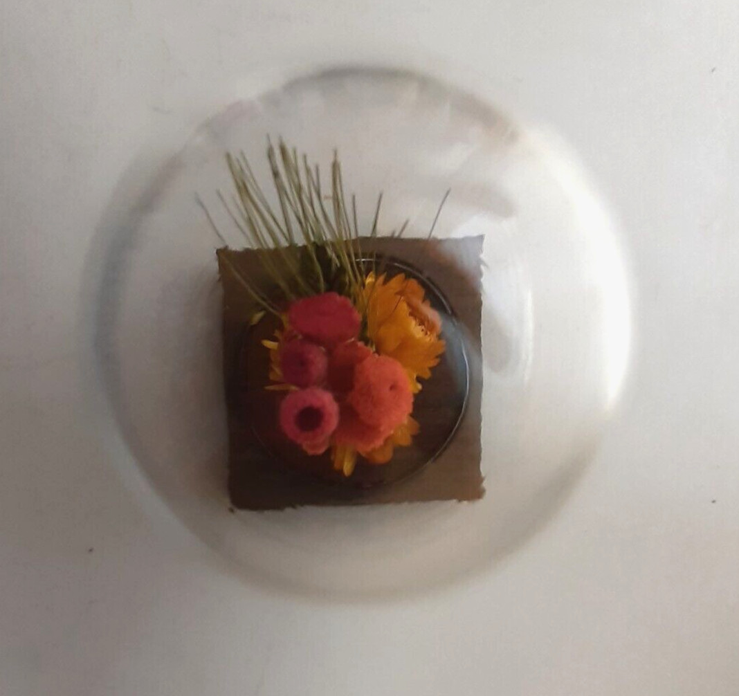 Leonard Creations Dried Cloched Flower Bouquet On Wood Base