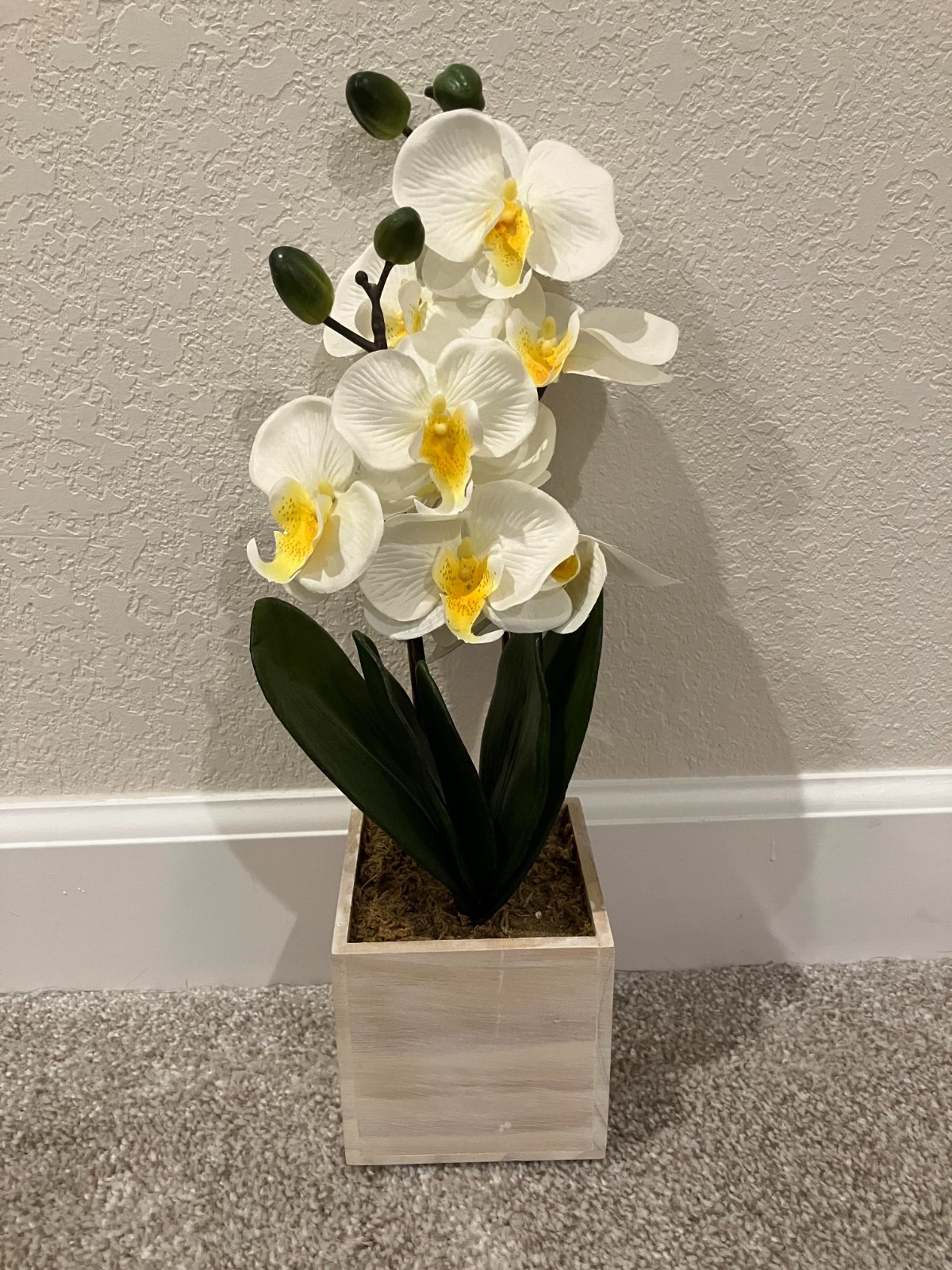 Sonoma Good for Life Shoreline Coastal Faux Orchid White Flower Decoration