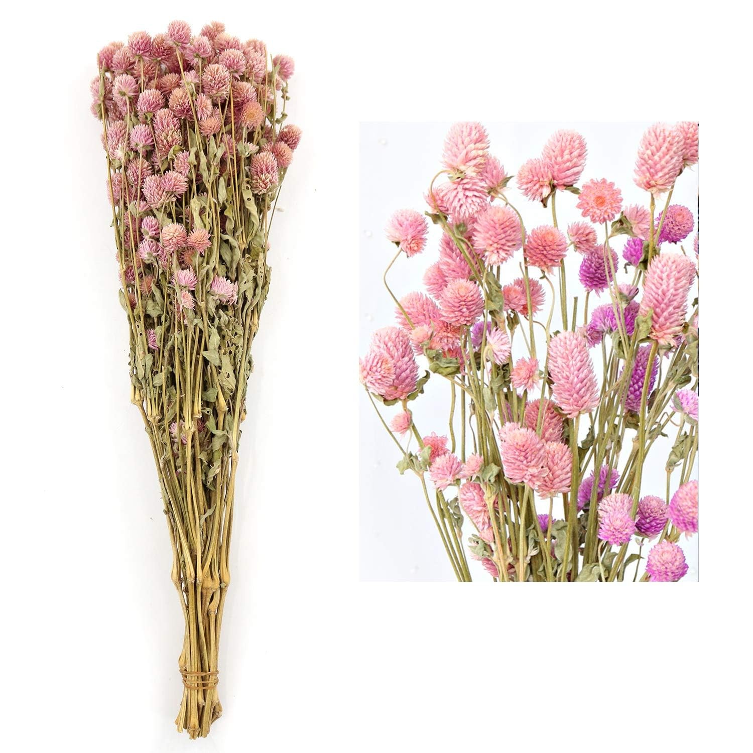 White Globe Amaranth Dried Flower Bundles Natural Home Party Decor Pink