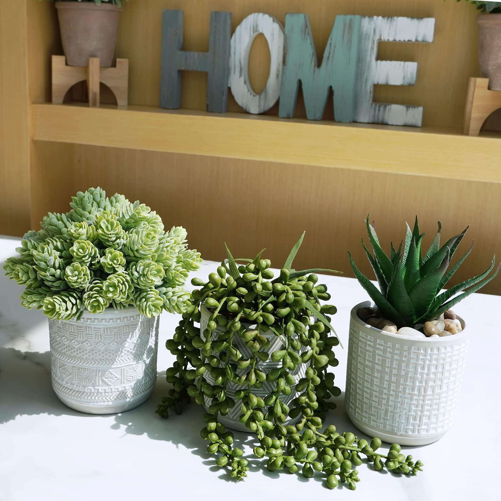 Set of 3 Assorted Small Potted Succulent Plants Fake Aloe String of Pearls Ho…