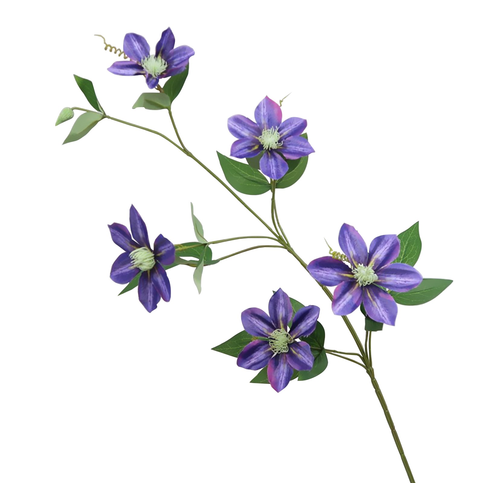 New European-style 5-headed Clematis – Deep Purple 85cm Tall Per Stem HOT