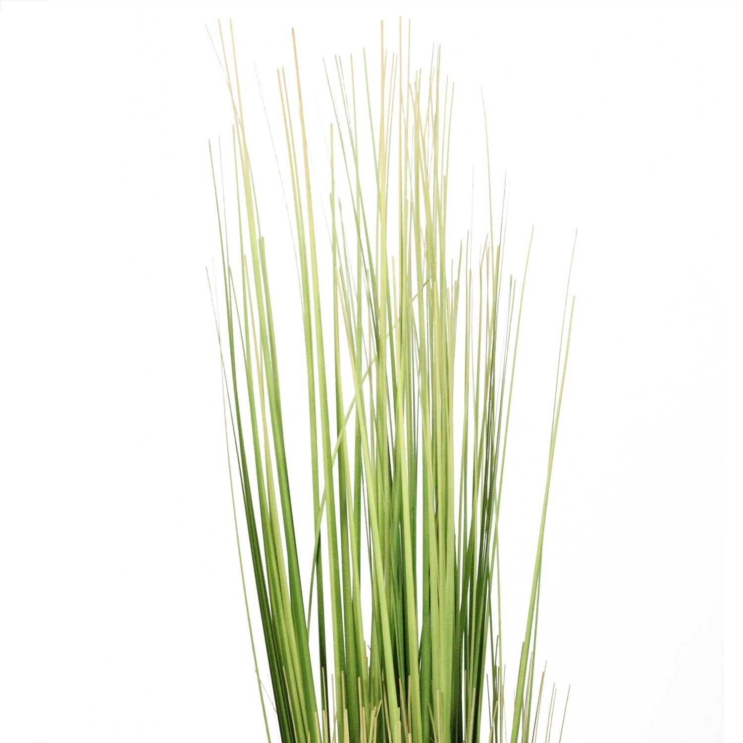 Northlight 37.75″ Green Yellow Artificial Onion Grass Bundle Wrapped Tan Rope
