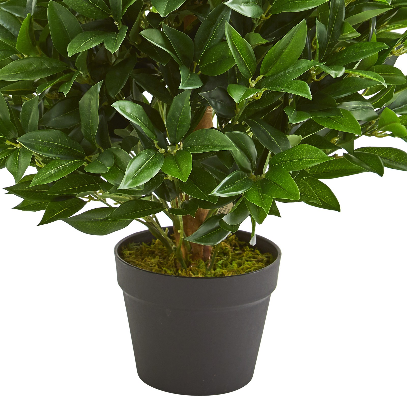 Indoor/Outdoor 36″ Bay Leaf Artificial Topiary Tree UV Resistant in Green/Black