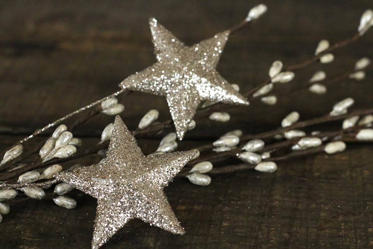 Pip Berry Floral Picks (Set/2) Platinum Silver with Glittered Stars 12 inch
