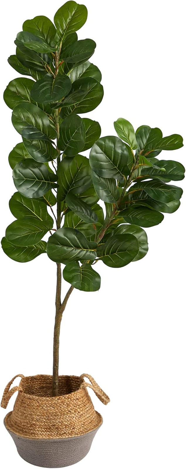 4.5Ft Fiddle Leaf Fig Tree in Boho Chic Cotton & Jute Woven Planter