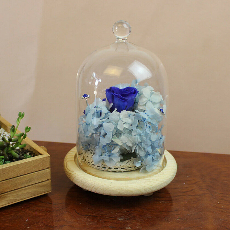 7.87″ Glass Display Bell Jar Dome Cloche Base Decorative Stand Immortal Flower