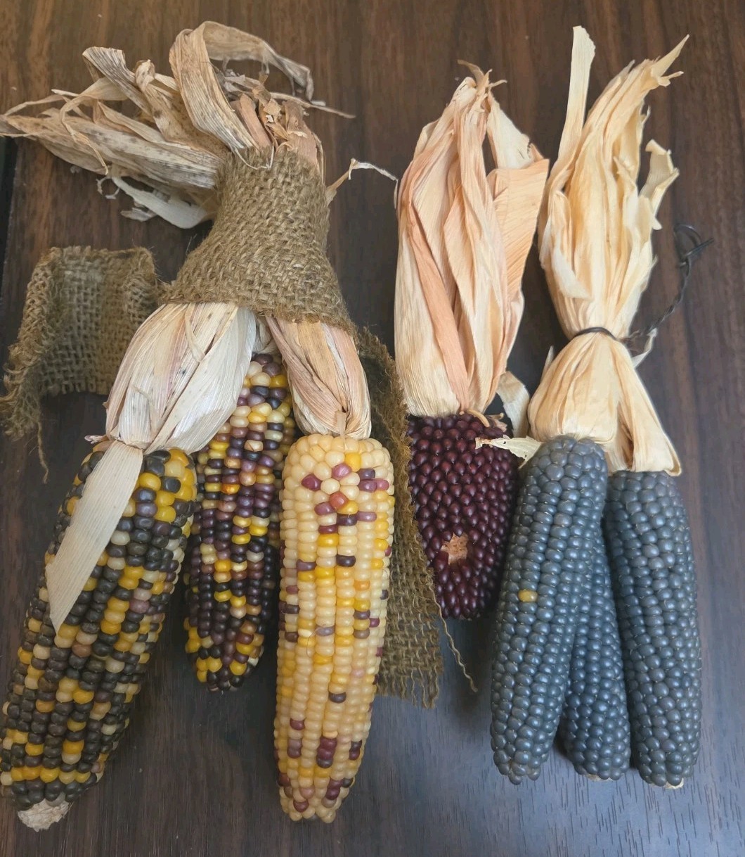 Mini Indian Corn, Approx 7-10″ Long, Thanksgiving Fall Decor