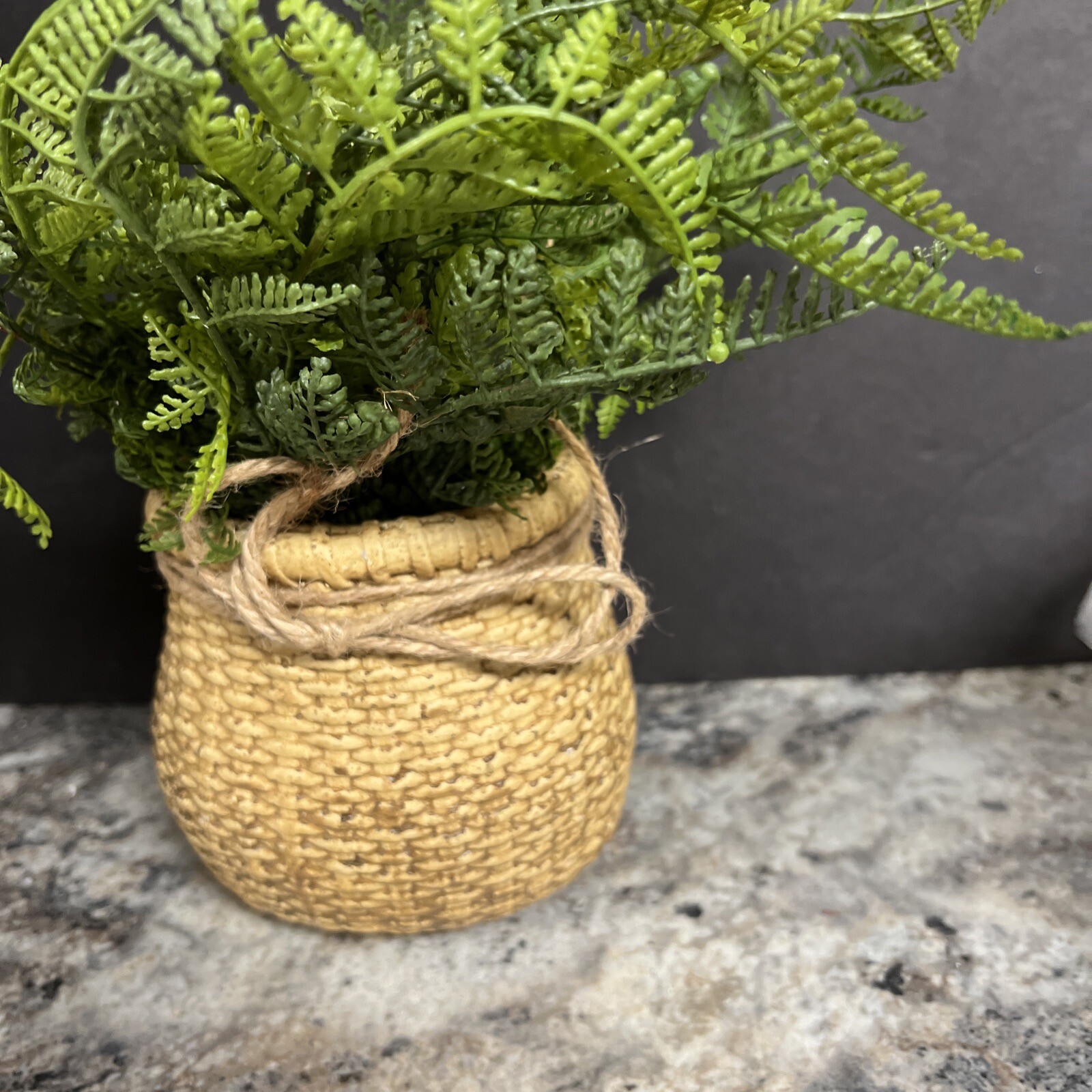 Natural Touch Lace Fern in Faux Woven Basket Valerie Parr Hill 12”