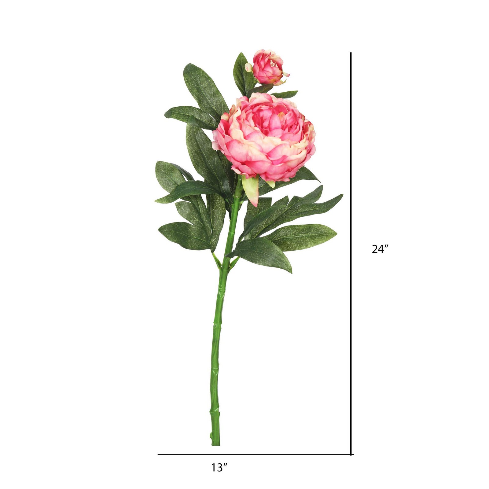 Vickerman 24″ Contemporary Plastic Artificial Peony Stem in Pink (Set of 3)