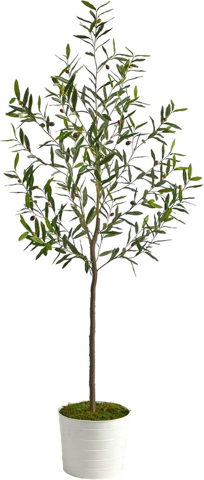 70″ Olive Artificial Tree in Chic White Tin Planter –