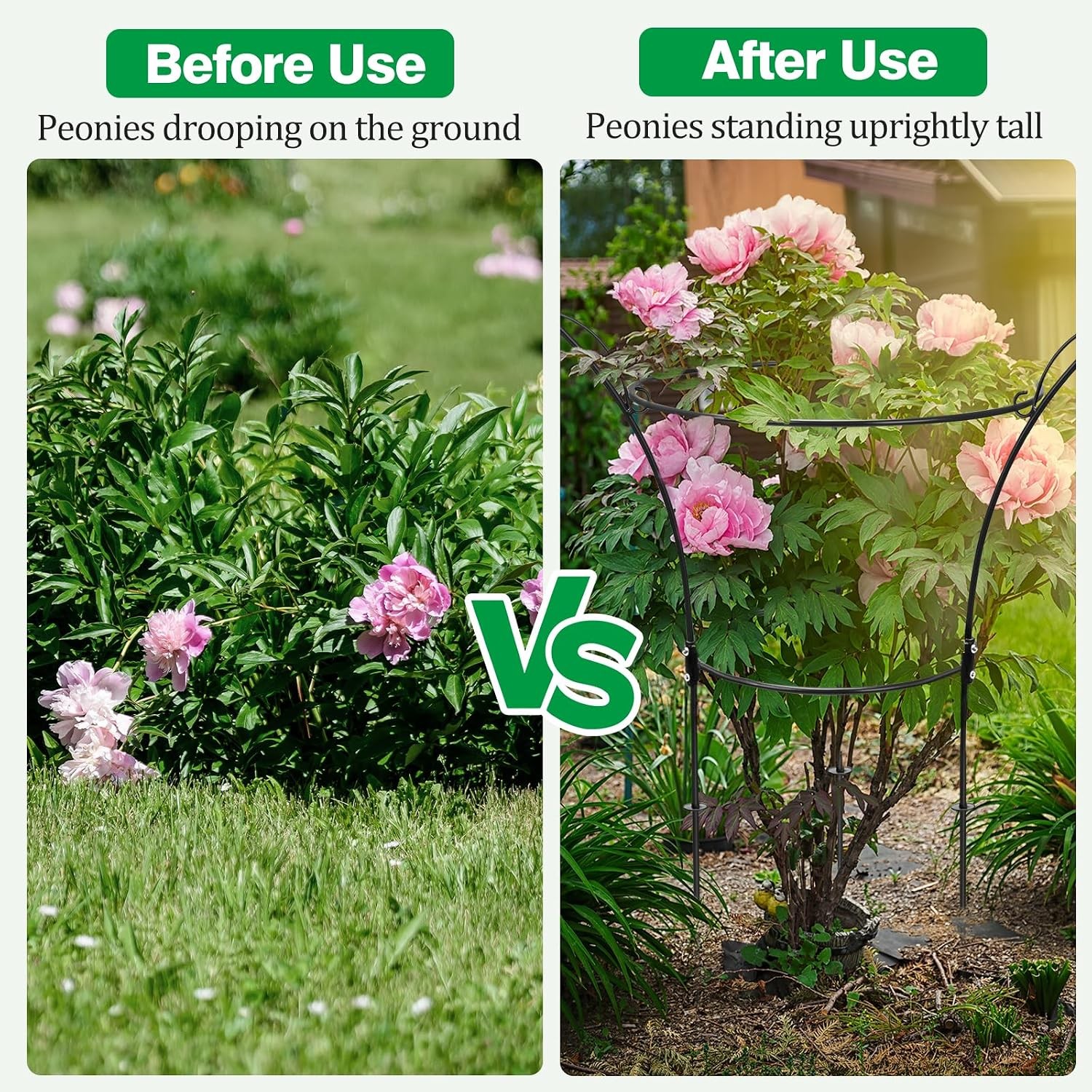 4 Pack Peony Cages & Supports Cages 13″ D x 22.8″ H Heavy Duty Metal Support