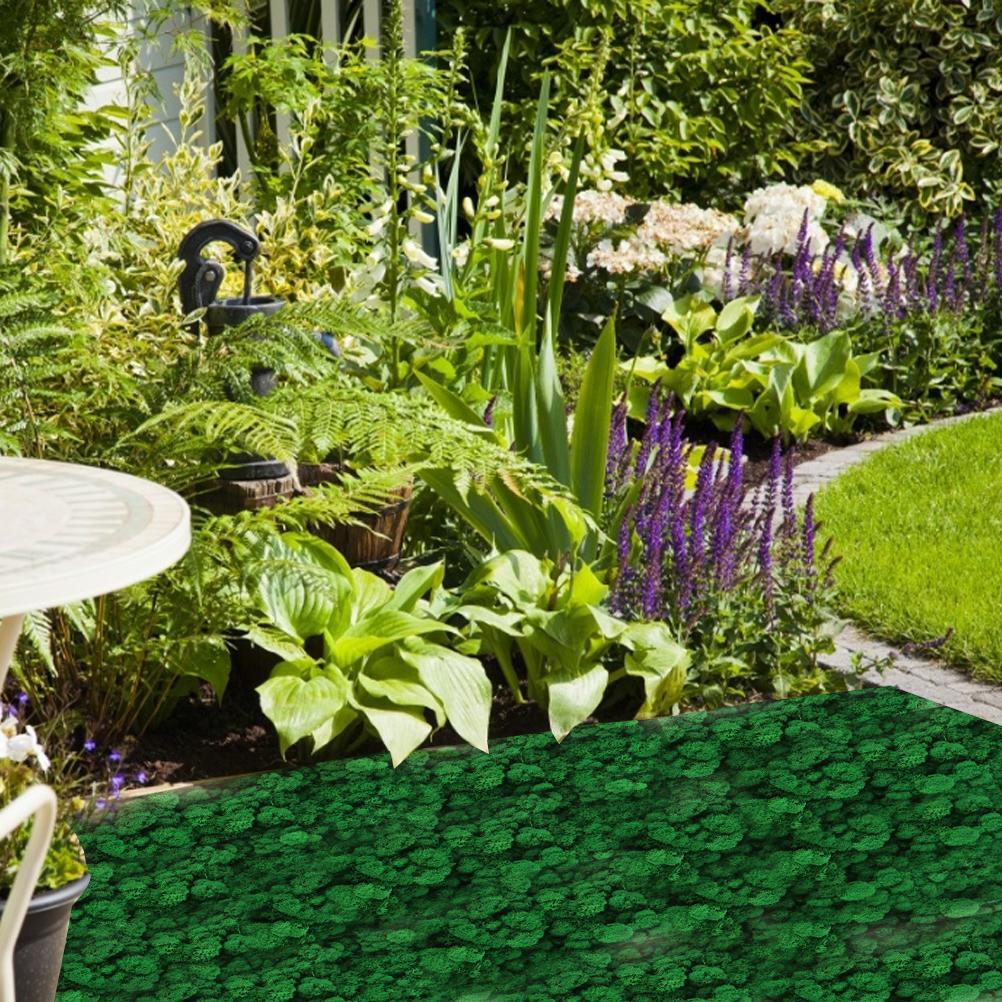 New Preserved Decorative Moss Natural New Preserved Moss For Home Decoration US