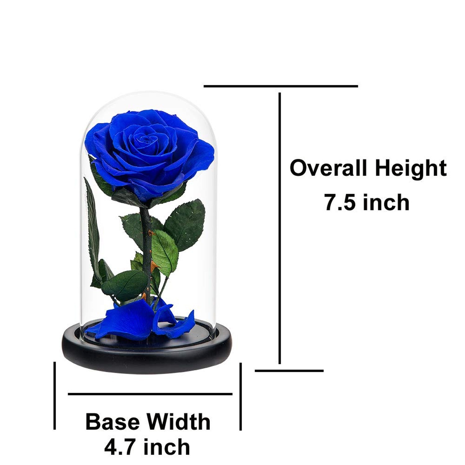 Preserved Rose Blue Real Rose in Glass Dome, Roses Never Withered Flower Gift…