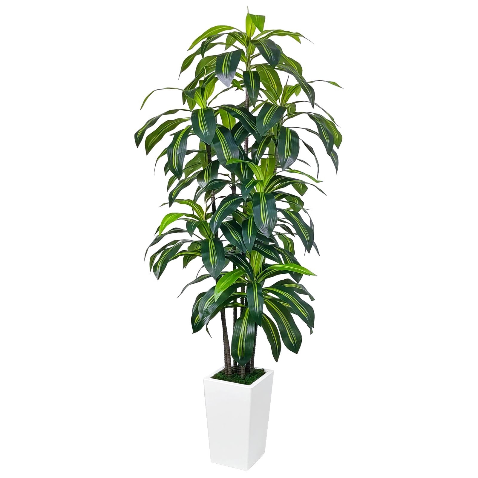 7FT Artificial Dracaena Tree – Tall Fake Plant with White Planter for Home Decor